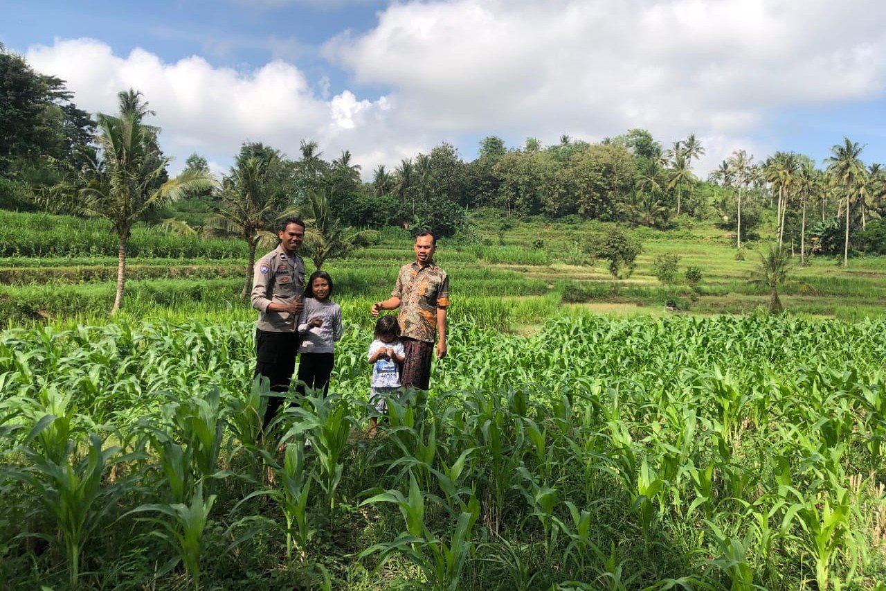 Bhabinkamtibmas Mareje Dukung Petani Jagung di Lembar
