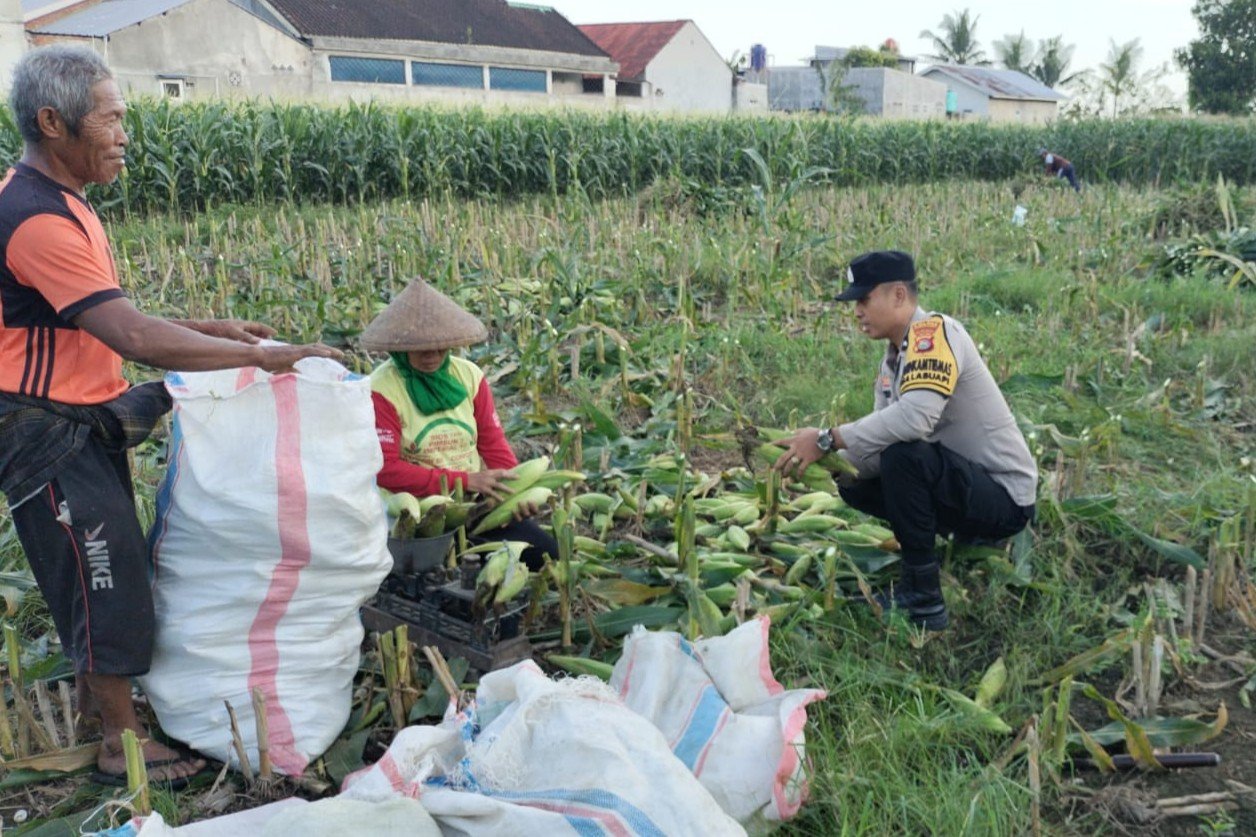 Peran Aktif Bhabinkamtibmas Labuapi Dukung Ketahanan Pangan Lokal