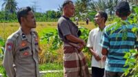 Peran Polisi di Tengah Sawah: Ketahanan Pangan Dimulai dari Dusun Rumak Barat